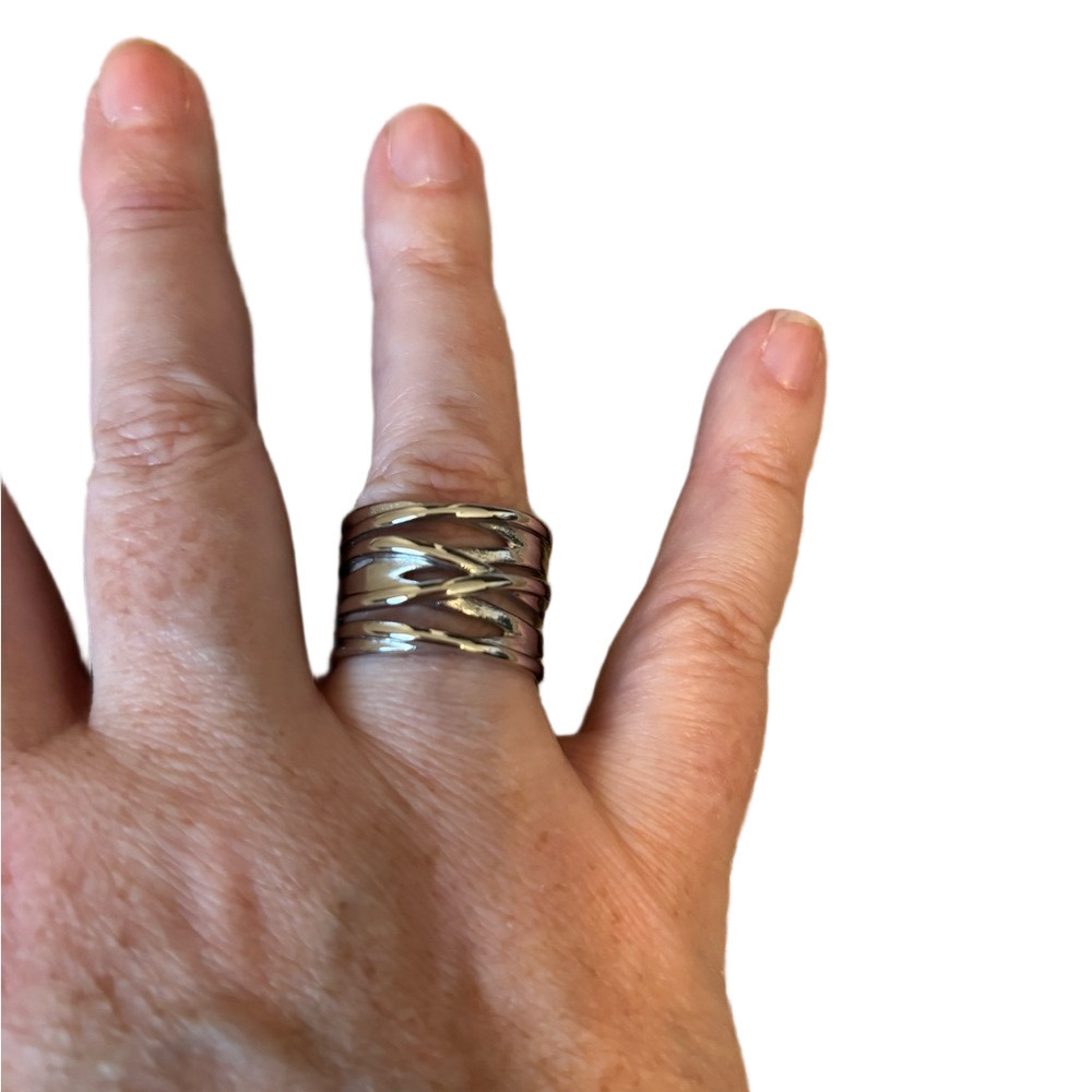 NWOT Silver Statement Ring